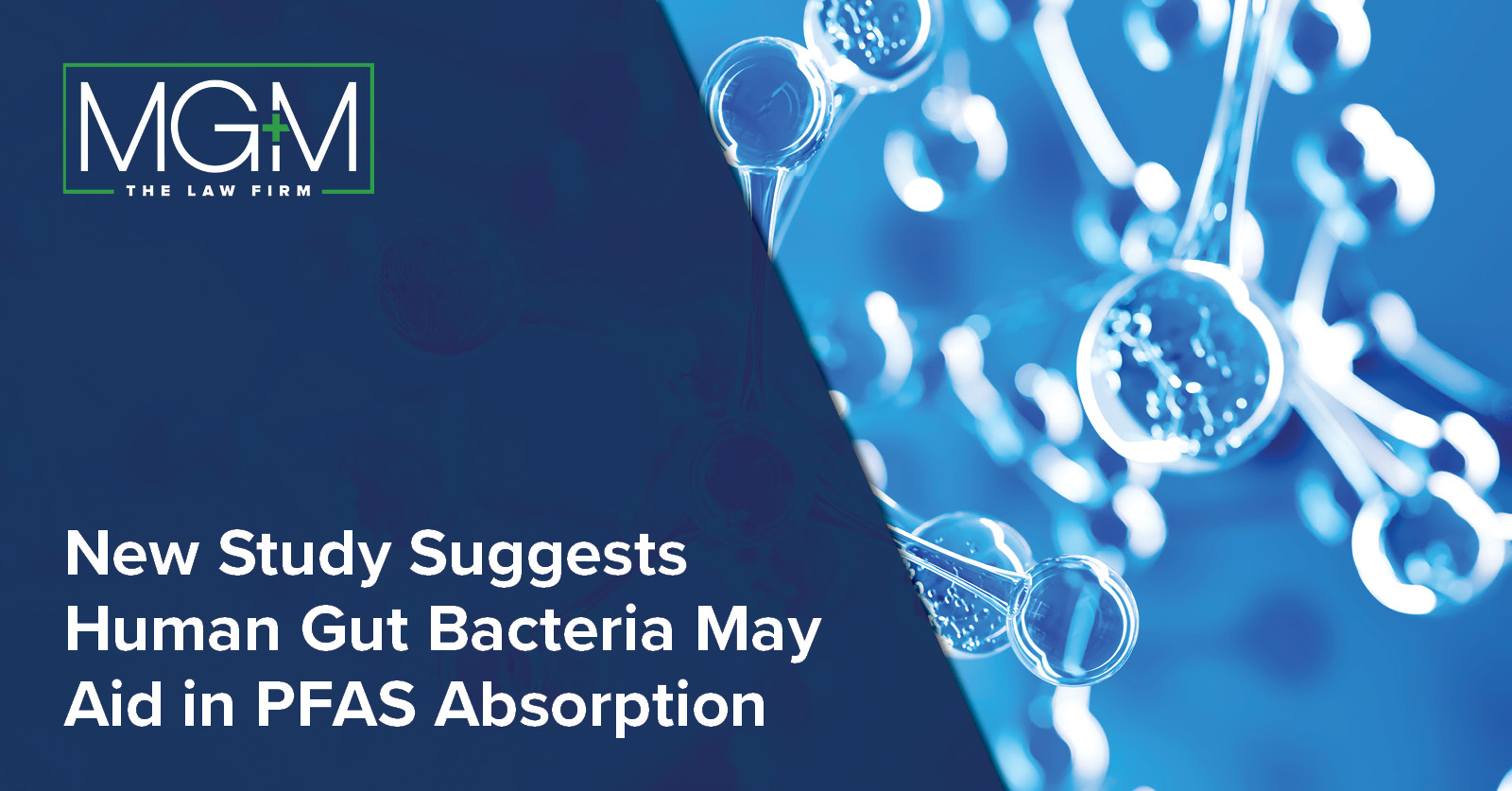 New Study Suggests Human Gut Bacteria May Aid In Pfas Absorption Mg M